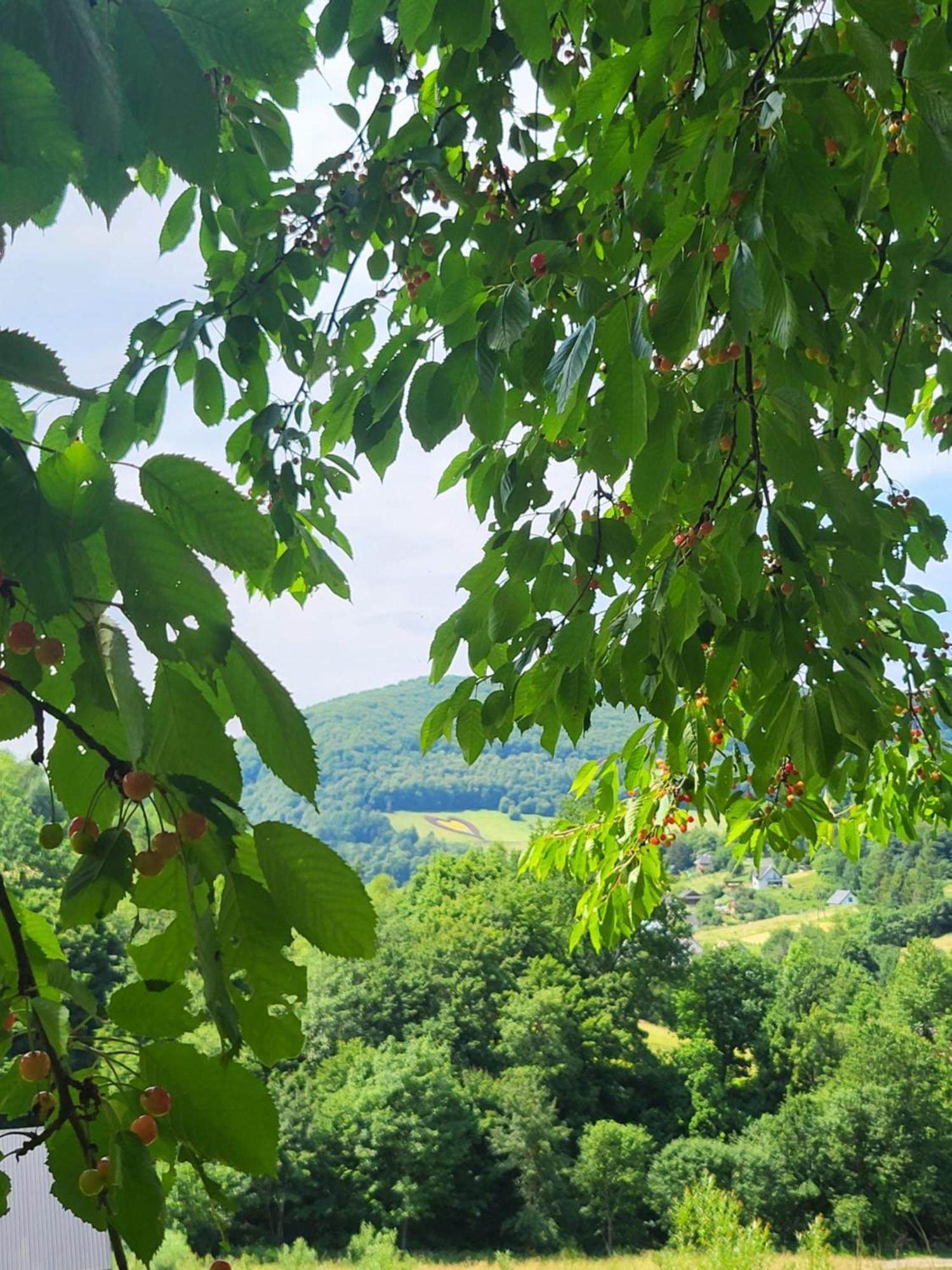 Lesne Wzgorze Nad Solina Villa